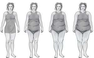 Thyroid_BodyType_Progression