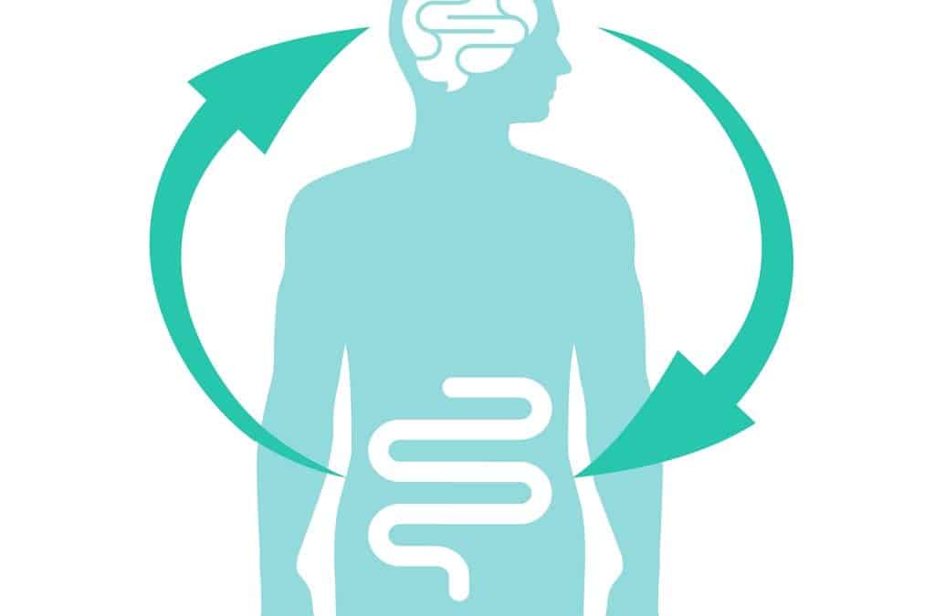 THE GUT-BRAIN CONNECTION TO DEPRESSION