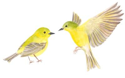 Are Millennials the Canaries in the Coal Mine?