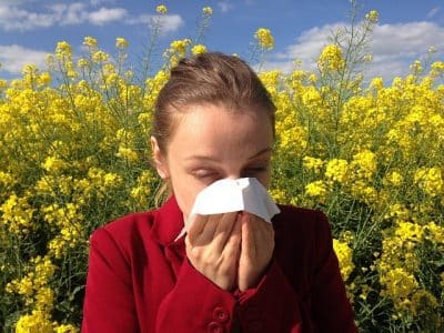 Pollen Allergies